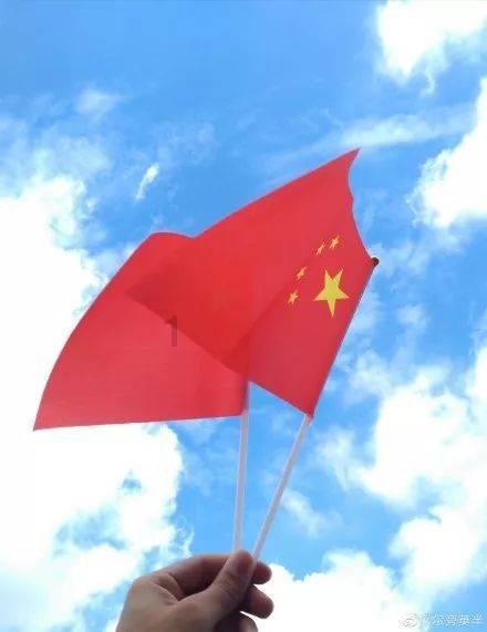 大白猫逃脱